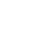 arc-insights